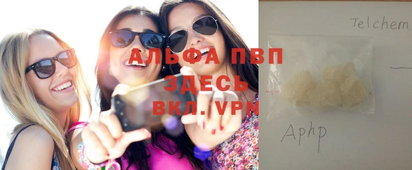 ПСИЛОЦИБИНОВЫЕ ГРИБЫ Белокуриха