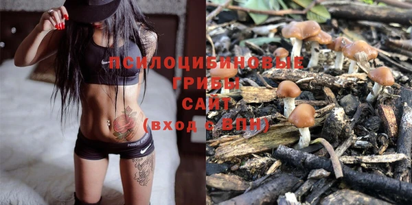 ПСИЛОЦИБИНОВЫЕ ГРИБЫ Белокуриха