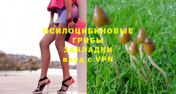 ПСИЛОЦИБИНОВЫЕ ГРИБЫ Белокуриха