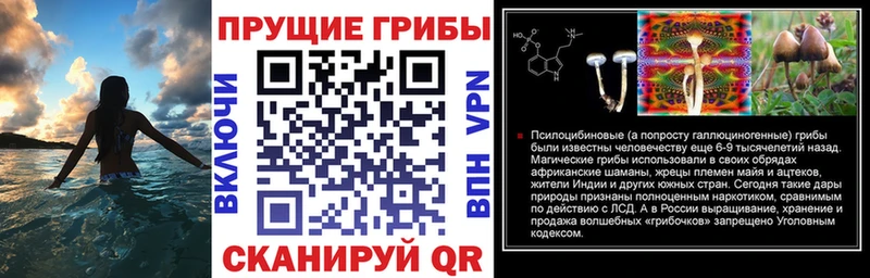Псилоцибиновые грибы мухоморы  гидра tor  Богучар 